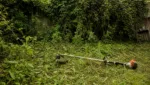 Motorsense Challenge: Eine ueberwucherte Gartenecke an einem Tag neu gestalten