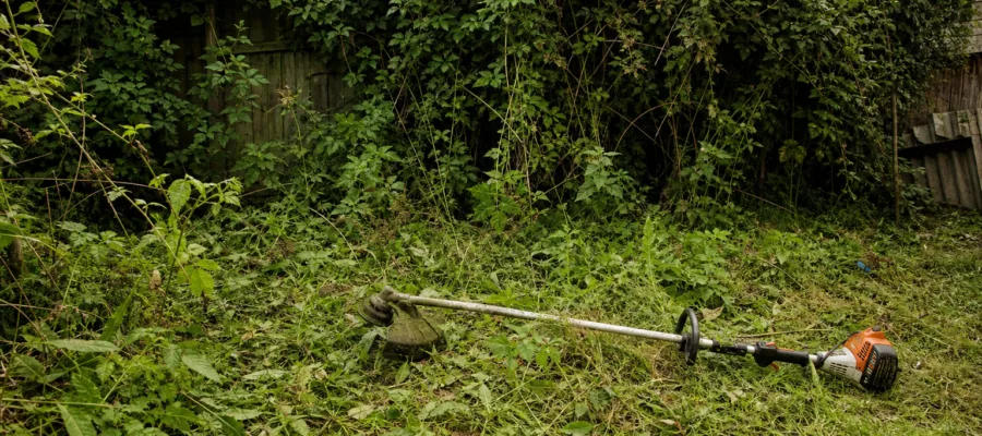 Motorsense Challenge: Eine ueberwucherte Gartenecke an einem Tag neu gestalten