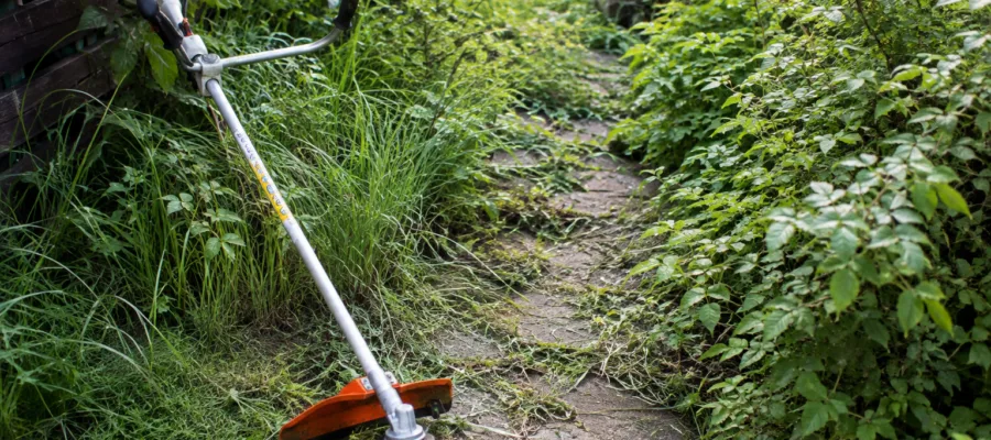 Motorsense DIY: Einen ueberwucherten Gartenweg sichtbar und begehbar machen