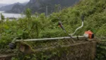 Ungewoehnliche Einsatzorte fuer Motorsensen auf der ganzen Welt